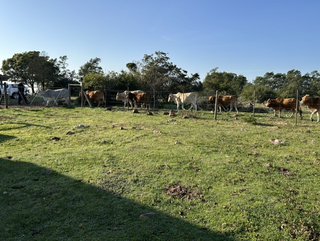 Commercial Property for Sale in Mossel Bay Rural Western Cape